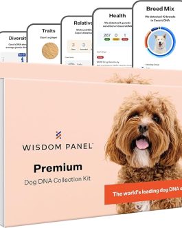 Wisdom Panel Premium Dog DNA Kit: Most Comprehensive with 265+ Health Tests, Identify 365+ Dog Breeds, 50+ Traits, Relatives, Ancestry, Genetic Diversity – 1 Pack