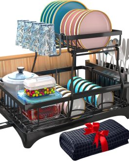 Godboat Dish Drying Rack, 2-Tier Dish Racks for Kitchen Counter